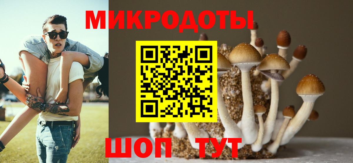 Псилоцибиновые грибы прущие грибы Мирный