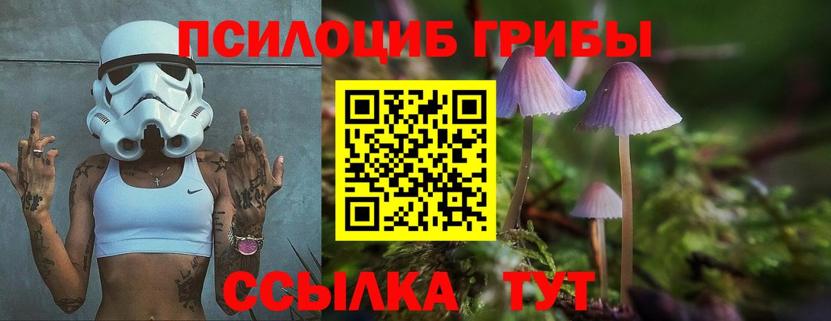 цена наркотик  Псилоцибиновые грибы мицелий  Галлюциногенные грибы прущие грибы  Вход с VPN  Мирный 